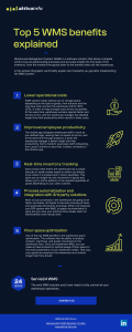 Graphic explanation of top 5 WMS benefits